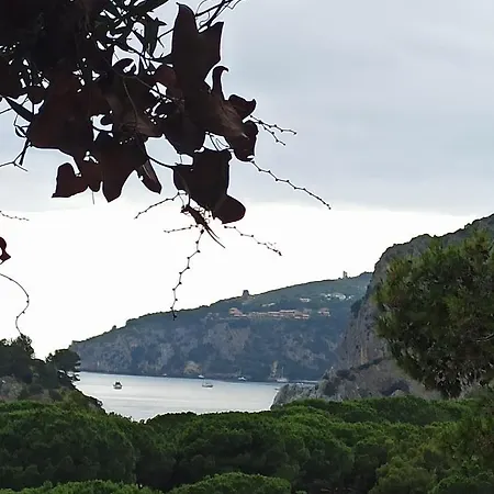 Tenuta Del Bifan Séjour à la campagne