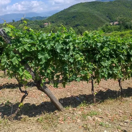 Séjour à la campagne Tenuta Del Bifan Policastro Bussentino