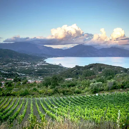 Casa di campagna Tenuta Del Bifan Policastro Bussentino
