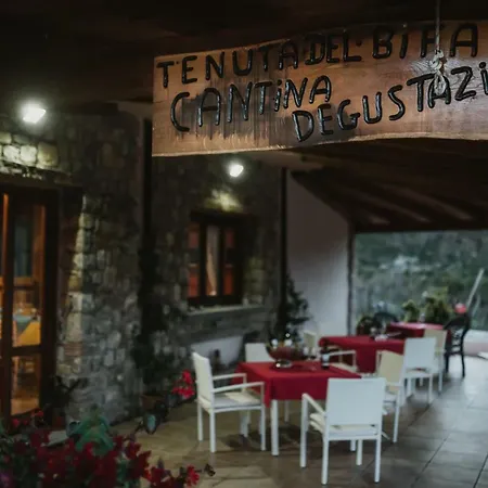 Landhuis Tenuta Del Bifan *