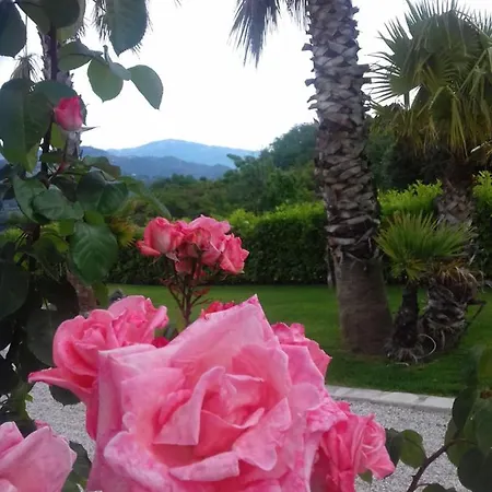 Tenuta Del Bifan